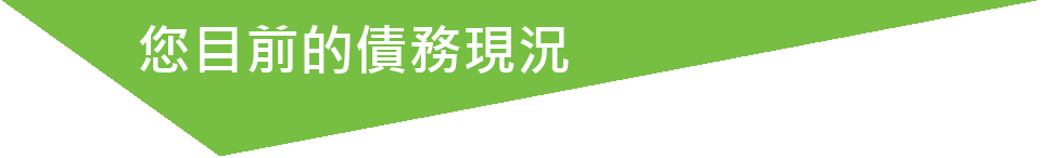 您目前的債務現況 您目前的債務現況